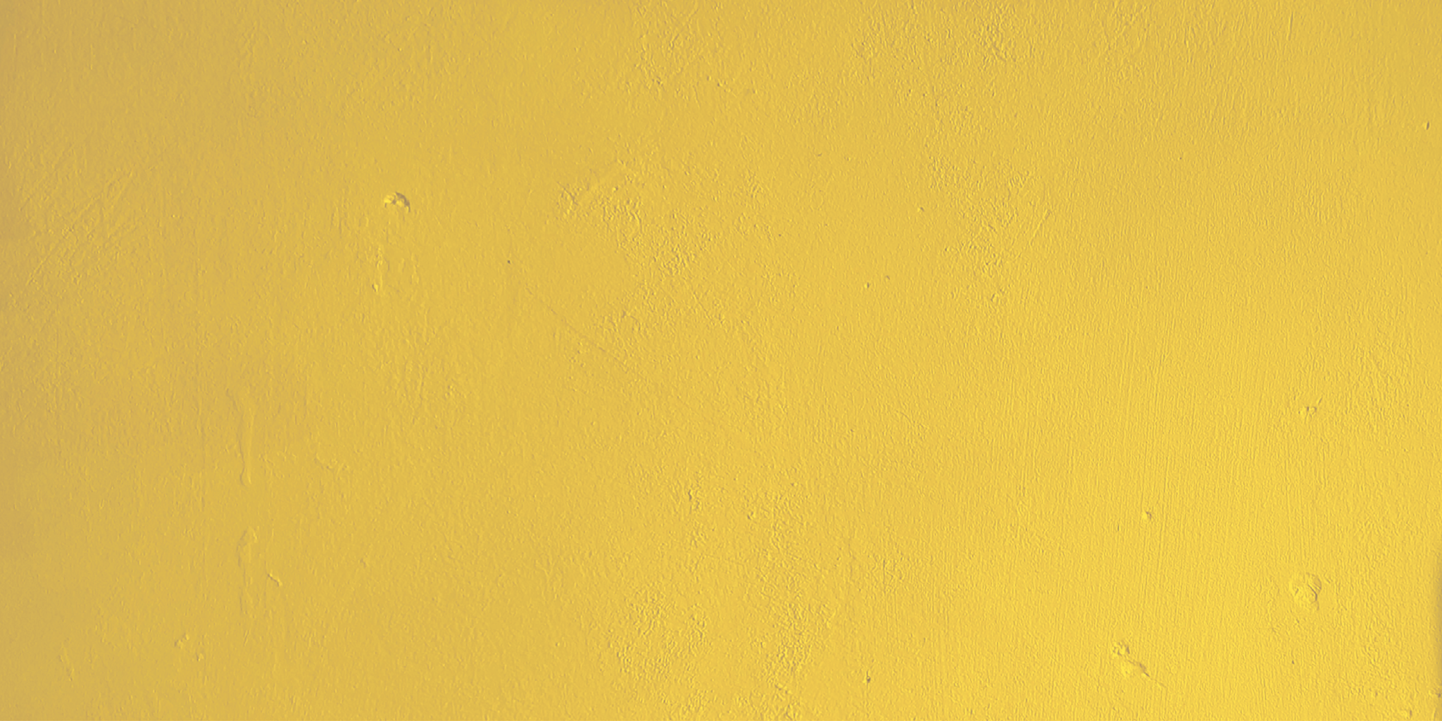 See What Life Is Like IV - Dorothy Spencer